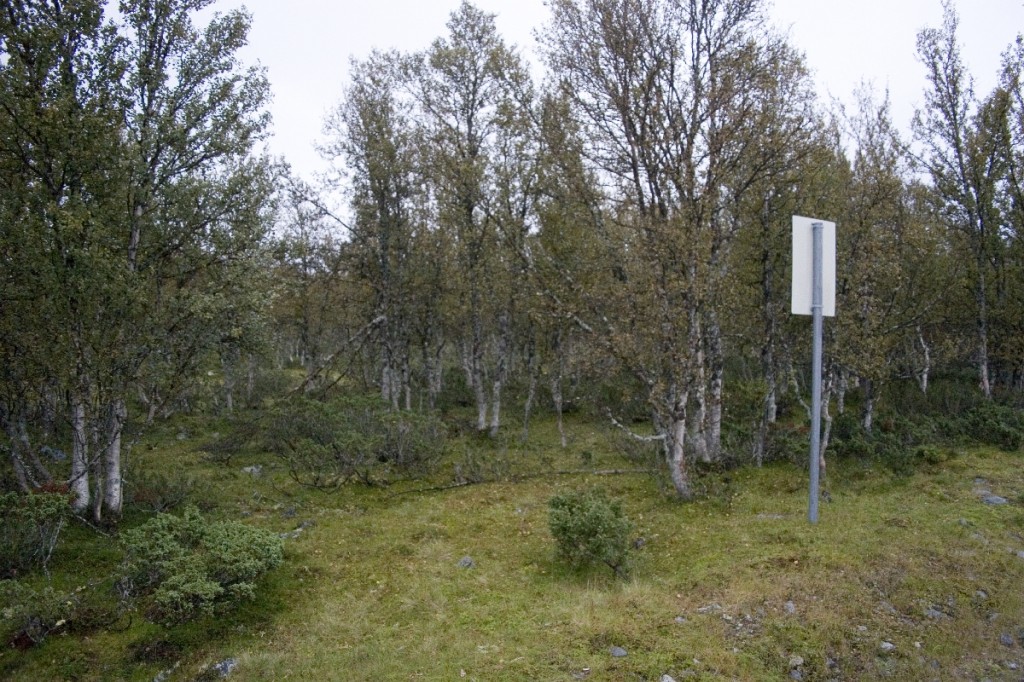 Norwegische Waldverkehrsordnung?